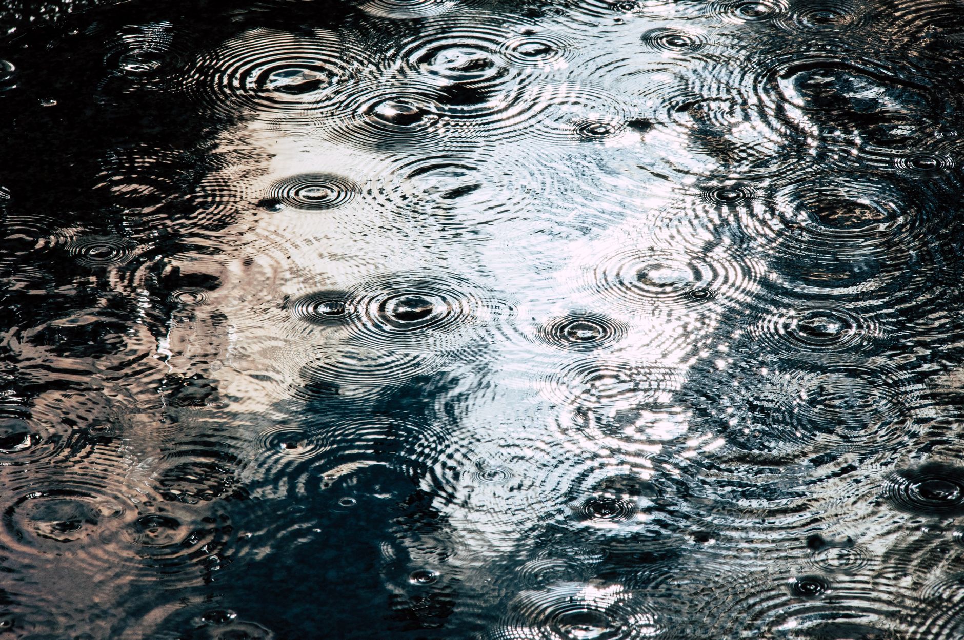 Installer un système de récupération d'eau de pluie